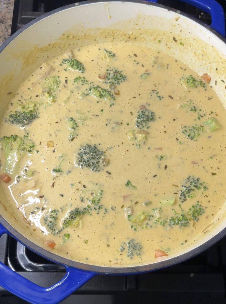 Broccoli Cheddar Chicken and Dumplings