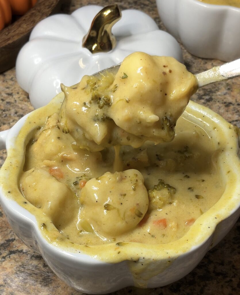 Broccoli Cheddar Chicken and Dumplings